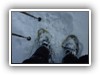 Schneeschuhe montieren...